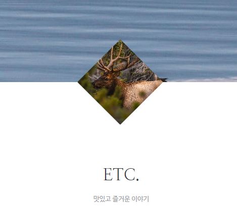 태상의 미니샵에서 집콕라이프를 스타일있게 꾸미는 법
